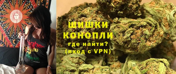 дмт Арсеньев