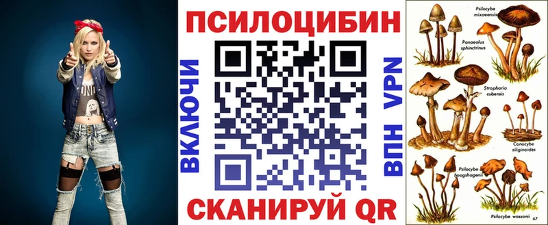 Купить где  Завитинск  Псилоцибиновые грибы Magic Shrooms 